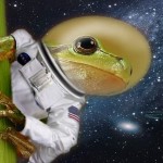 Frogs on the Moon? Seriously? Frogs on the Moon? Seriously?